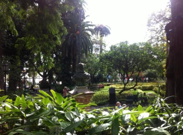 Central Funchal Apartment - Garden - Free Parking & Ac Экстерьер фото